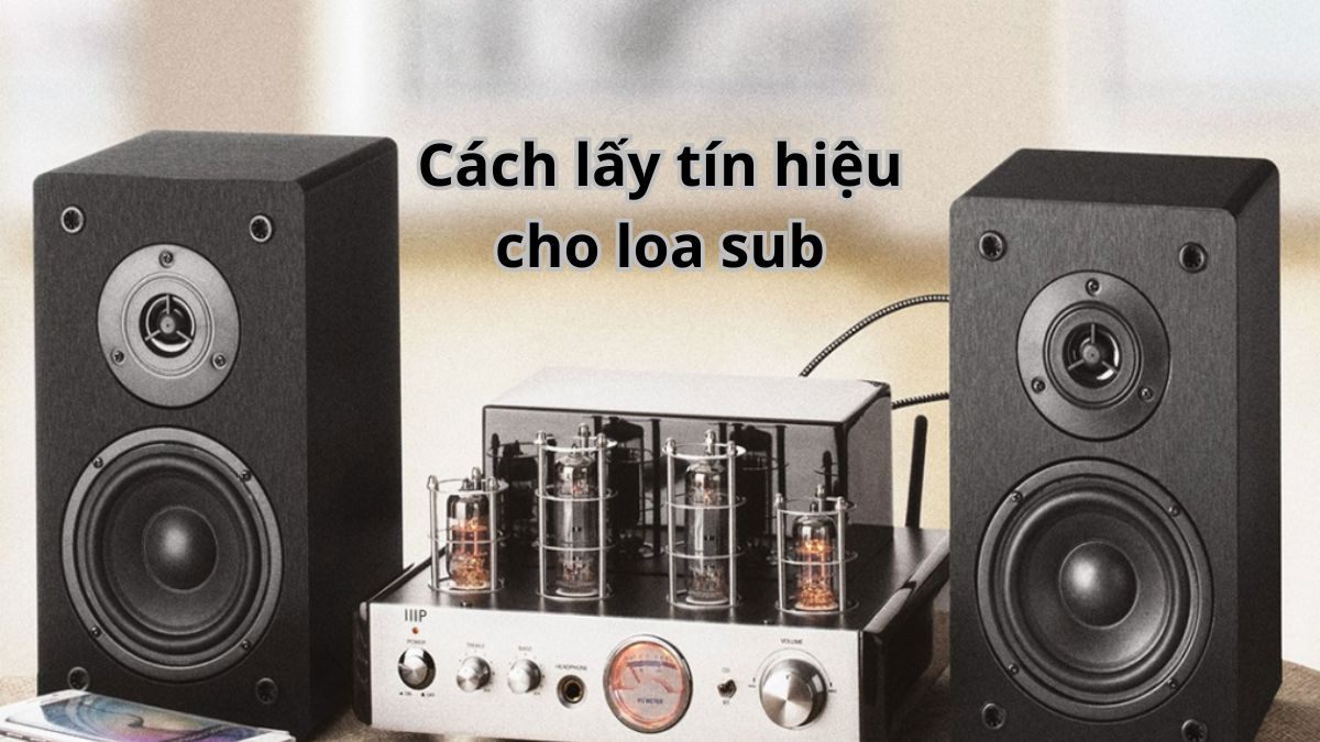 Cách lấy tín hiệu cho loa sub âm thanh hay chuẩn kỹ thuật